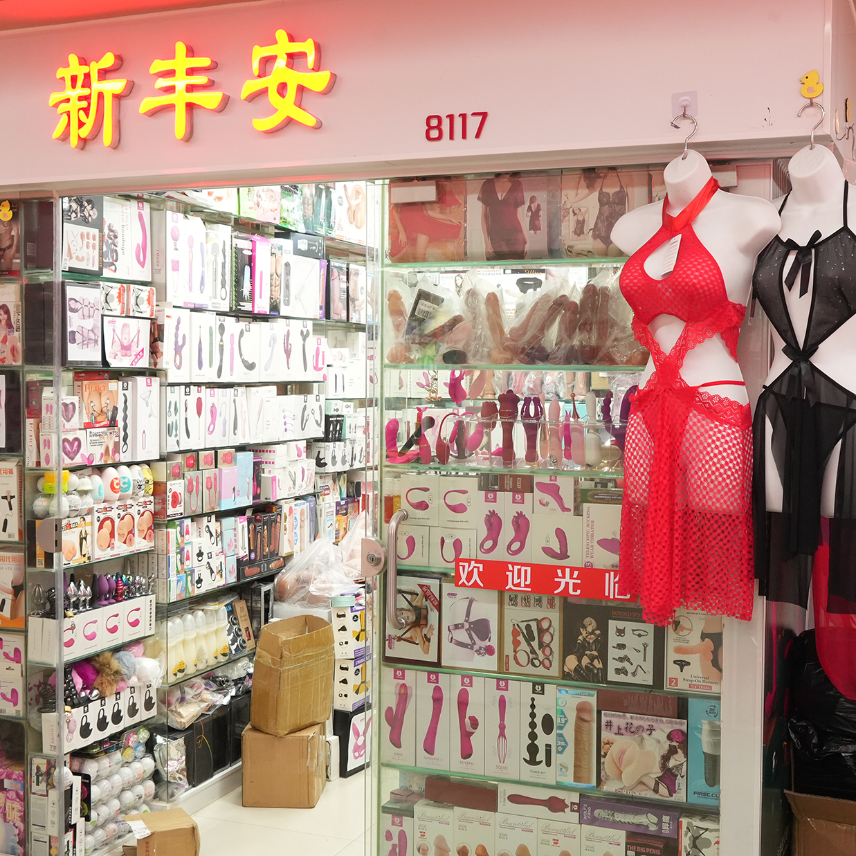 8117档 新丰安