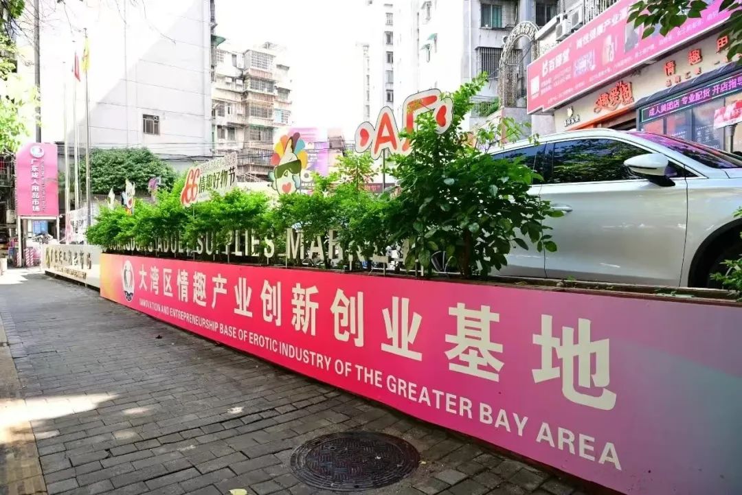 中国首个“情趣产业生态综合体”（一期）启动(图26)